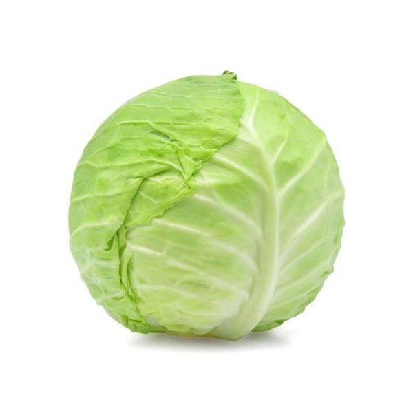 Kupus