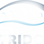 Stridon logo